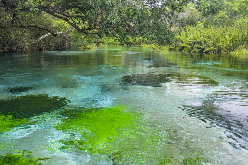 Bonito - Photo by Hudson Garcia (8)